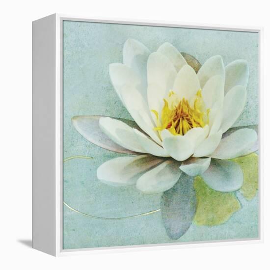 Magnolia Sq-Amy Melious-Framed Stretched Canvas