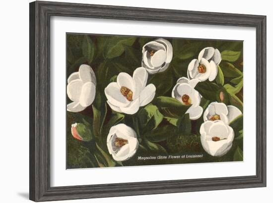 Magnolia, State Flower of Louisiana-null-Framed Art Print