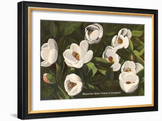 Magnolia, State Flower of Louisiana-null-Framed Art Print