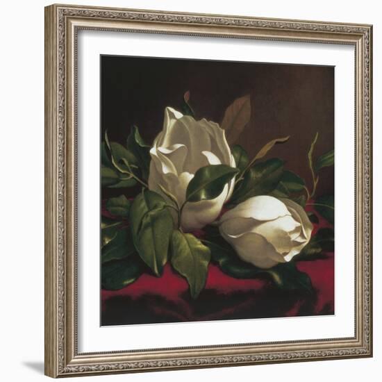 Magnolia Still Life I (detail)-Martin Johnson Heade-Framed Giclee Print