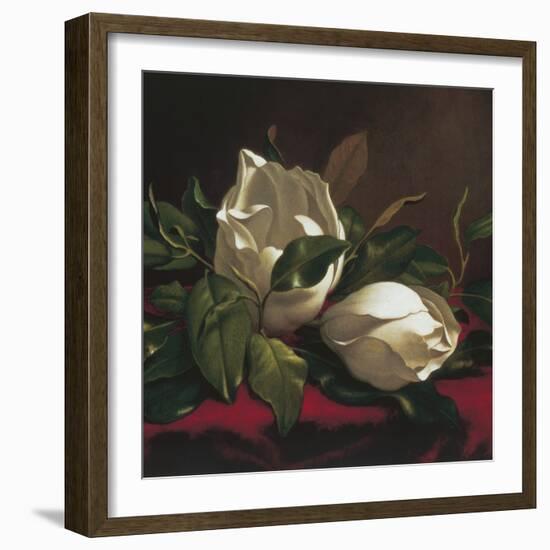 Magnolia Still Life I (detail)-Martin Johnson Heade-Framed Giclee Print