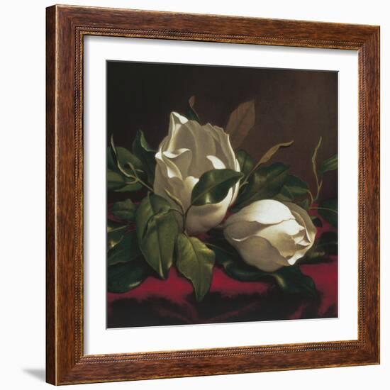 Magnolia Still Life I (detail)-Martin Johnson Heade-Framed Giclee Print