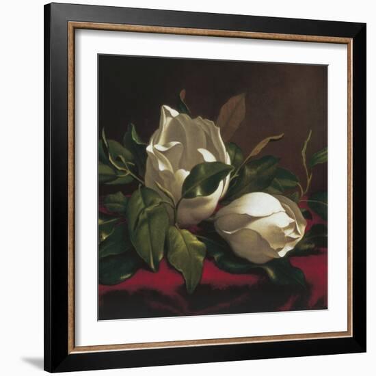 Magnolia Still Life I (detail)-Martin Johnson Heade-Framed Giclee Print