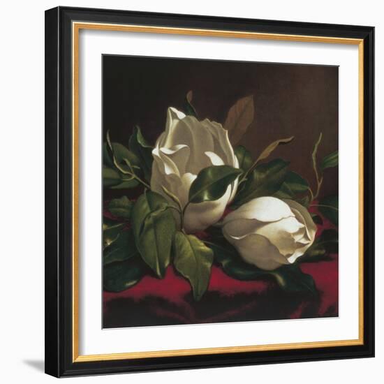 Magnolia Still Life I (detail)-Martin Johnson Heade-Framed Giclee Print