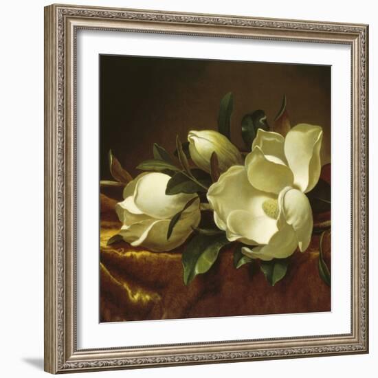 Magnolia Still Life II (detail)-Martin Johnson Heade-Framed Giclee Print