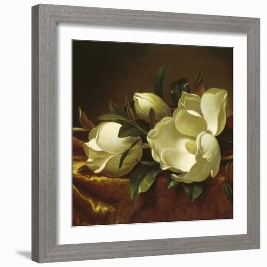 Magnolia Still Life II (detail)-Martin Johnson Heade-Framed Giclee Print