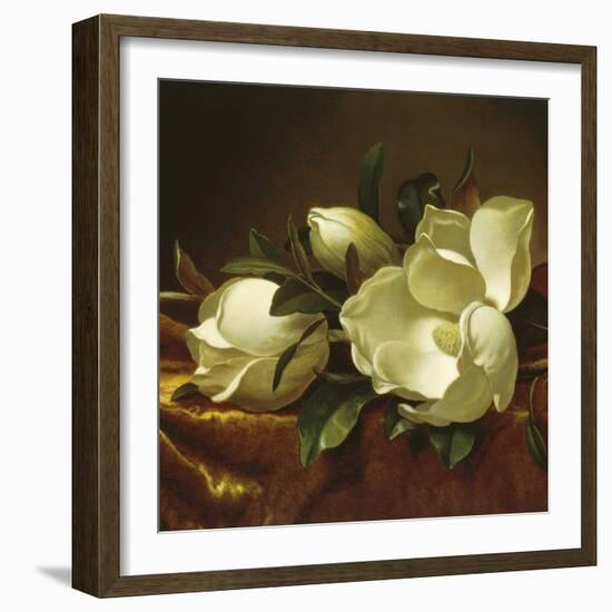 Magnolia Still Life II (detail)-Martin Johnson Heade-Framed Giclee Print