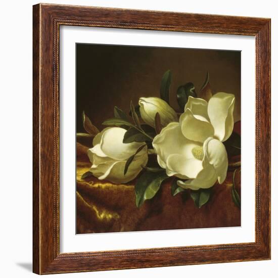 Magnolia Still Life II (detail)-Martin Johnson Heade-Framed Giclee Print