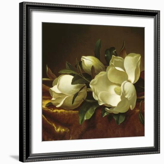 Magnolia Still Life II (detail)-Martin Johnson Heade-Framed Giclee Print