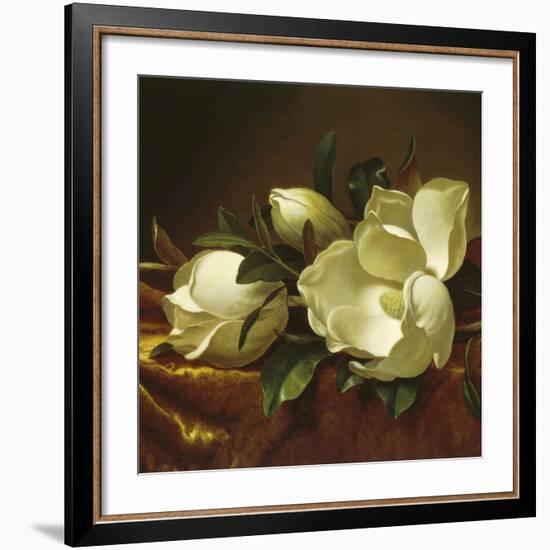 Magnolia Still Life II (detail)-Martin Johnson Heade-Framed Giclee Print