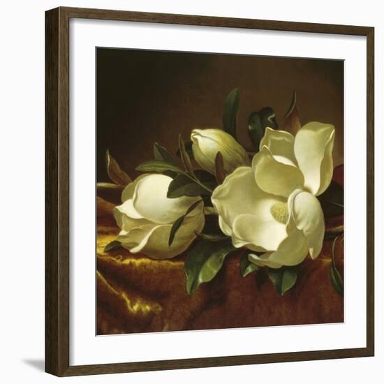 Magnolia Still Life II (detail)-Martin Johnson Heade-Framed Giclee Print