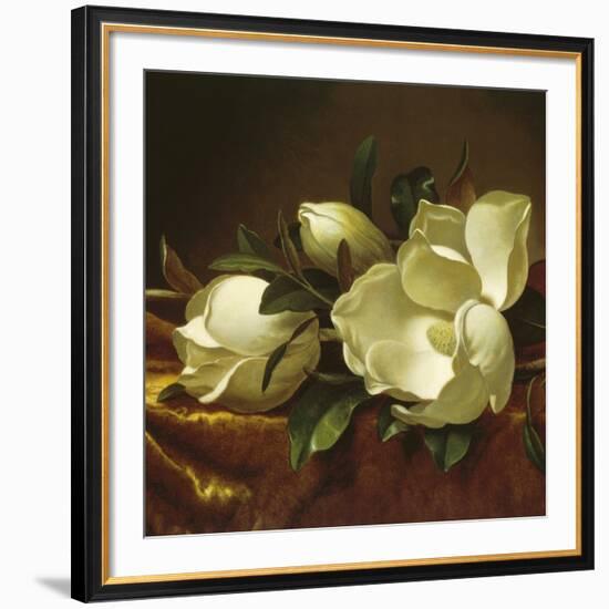 Magnolia Still Life II (detail)-Martin Johnson Heade-Framed Giclee Print