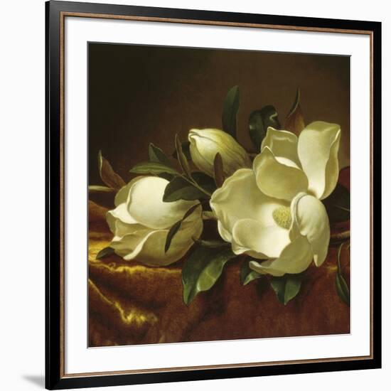 Magnolia Still Life II (detail)-Martin Johnson Heade-Framed Giclee Print