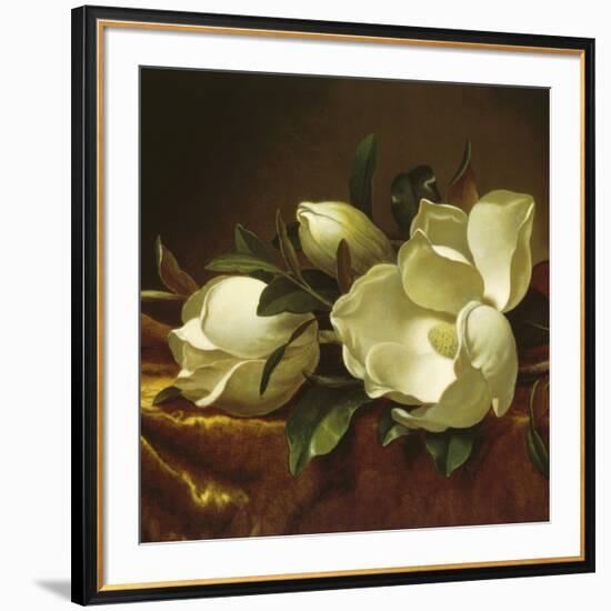 Magnolia Still Life II (detail)-Martin Johnson Heade-Framed Giclee Print