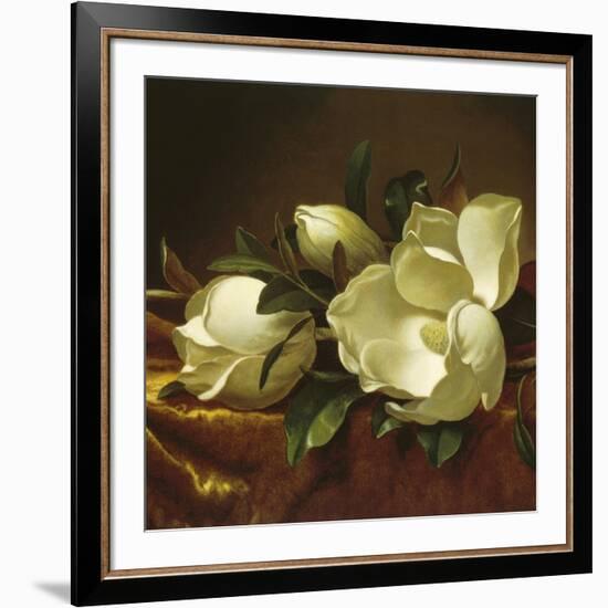 Magnolia Still Life II (detail)-Martin Johnson Heade-Framed Giclee Print