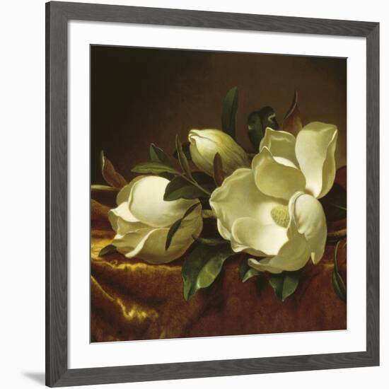 Magnolia Still Life II (detail)-Martin Johnson Heade-Framed Giclee Print