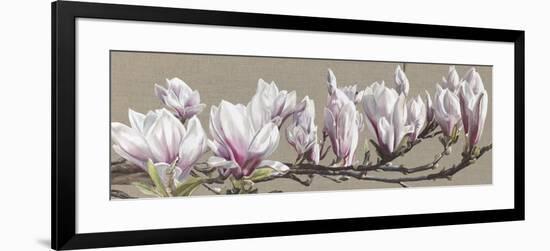 Magnolia Swathe-Sarah Caswell-Framed Art Print