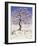 Magnolia Tree in Snow, 1983 (Gouache)-Liz Wright-Framed Giclee Print