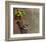 Magnolia Warbler-Chris Vest-Framed Art Print