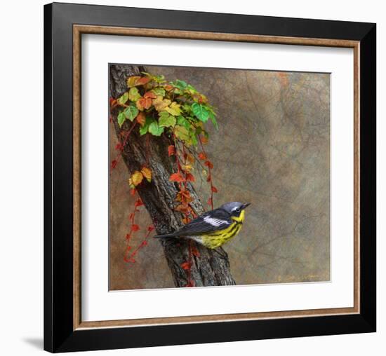 Magnolia Warbler-Chris Vest-Framed Art Print