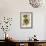 Magnolia Warblers-John James Audubon-Framed Giclee Print displayed on a wall