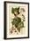 Magnolia Warblers-John James Audubon-Framed Giclee Print