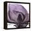 Magnolia Wine Beauty-Albert Koetsier-Framed Stretched Canvas