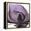 Magnolia Wine Beauty-Albert Koetsier-Framed Stretched Canvas