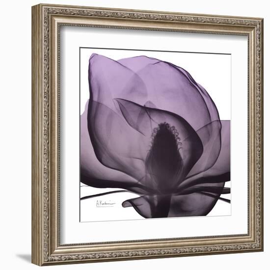 Magnolia Wine Beauty-Albert Koetsier-Framed Art Print