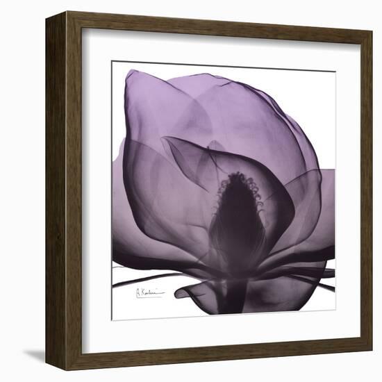 Magnolia Wine Beauty-Albert Koetsier-Framed Art Print