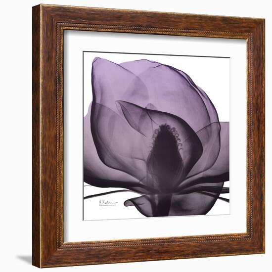 Magnolia Wine Beauty-Albert Koetsier-Framed Art Print