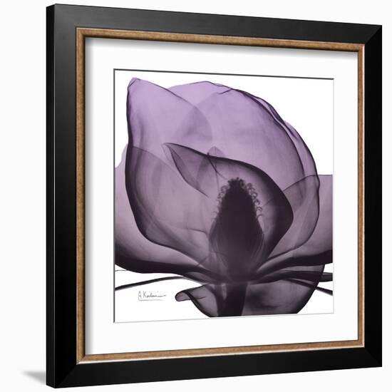 Magnolia Wine Beauty-Albert Koetsier-Framed Art Print