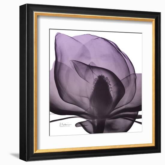 Magnolia Wine Beauty-Albert Koetsier-Framed Art Print