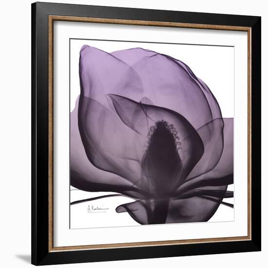 Magnolia Wine Beauty-Albert Koetsier-Framed Art Print