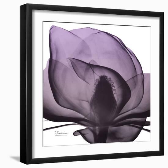 Magnolia Wine Beauty-Albert Koetsier-Framed Art Print