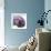 Magnolia Wine Beauty-Albert Koetsier-Framed Premium Giclee Print displayed on a wall