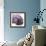 Magnolia Wine Beauty-Albert Koetsier-Framed Premium Giclee Print displayed on a wall