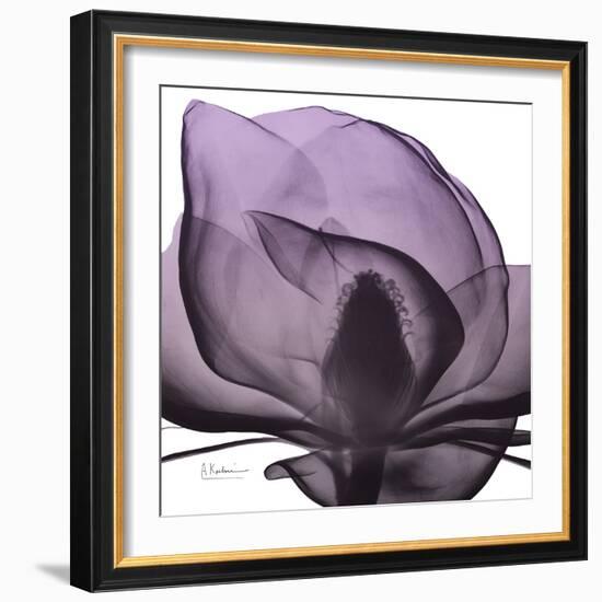 Magnolia Wine Beauty-Albert Koetsier-Framed Premium Giclee Print