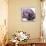 Magnolia Wine Beauty-Albert Koetsier-Framed Stretched Canvas displayed on a wall