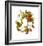 Magnolia Wreath-Nancy Kaestner-Framed Art Print