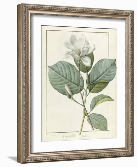 Magnolia Yulan Magnolia Denudata, 1812-Pierre Joseph Redoute-Framed Giclee Print