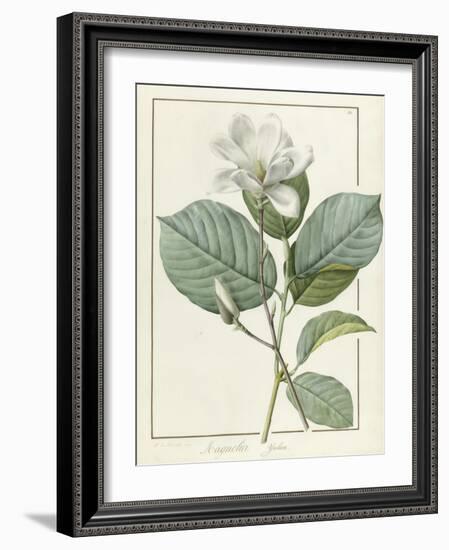 Magnolia Yulan Magnolia Denudata, 1812-Pierre Joseph Redoute-Framed Giclee Print