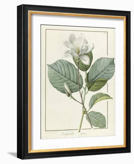 Magnolia Yulan Magnolia Denudata, 1812-Pierre Joseph Redoute-Framed Giclee Print