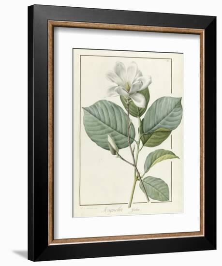 Magnolia Yulan Magnolia Denudata, 1812-Pierre Joseph Redoute-Framed Giclee Print