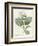 Magnolia Yulan Magnolia Denudata, 1812-Pierre Joseph Redoute-Framed Giclee Print