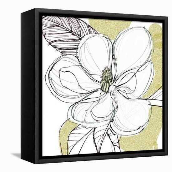 Magnolia3    flower, floral, blossom-Robbin Rawlings-Framed Stretched Canvas