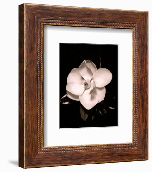 Magnolia-Sara Liu-Framed Art Print