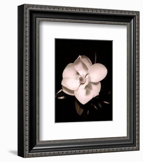 Magnolia-Sara Liu-Framed Art Print