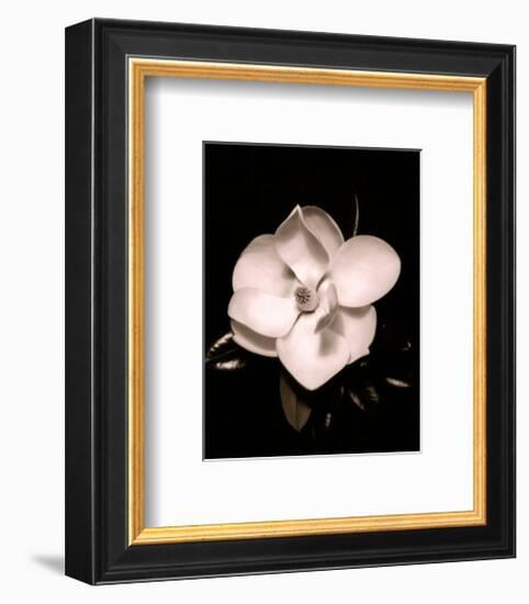 Magnolia-Sara Liu-Framed Art Print