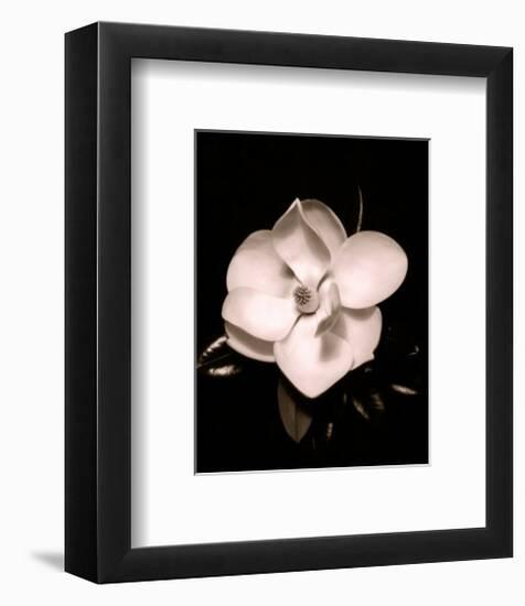 Magnolia-Sara Liu-Framed Art Print